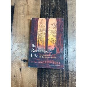 The Romantic Life D Andrew Yost Five Strategies to ReEnchant the World Paperback